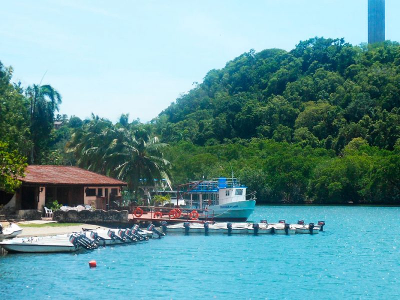 NATURE TOUR BUS IN RIVER – CANÍMAR